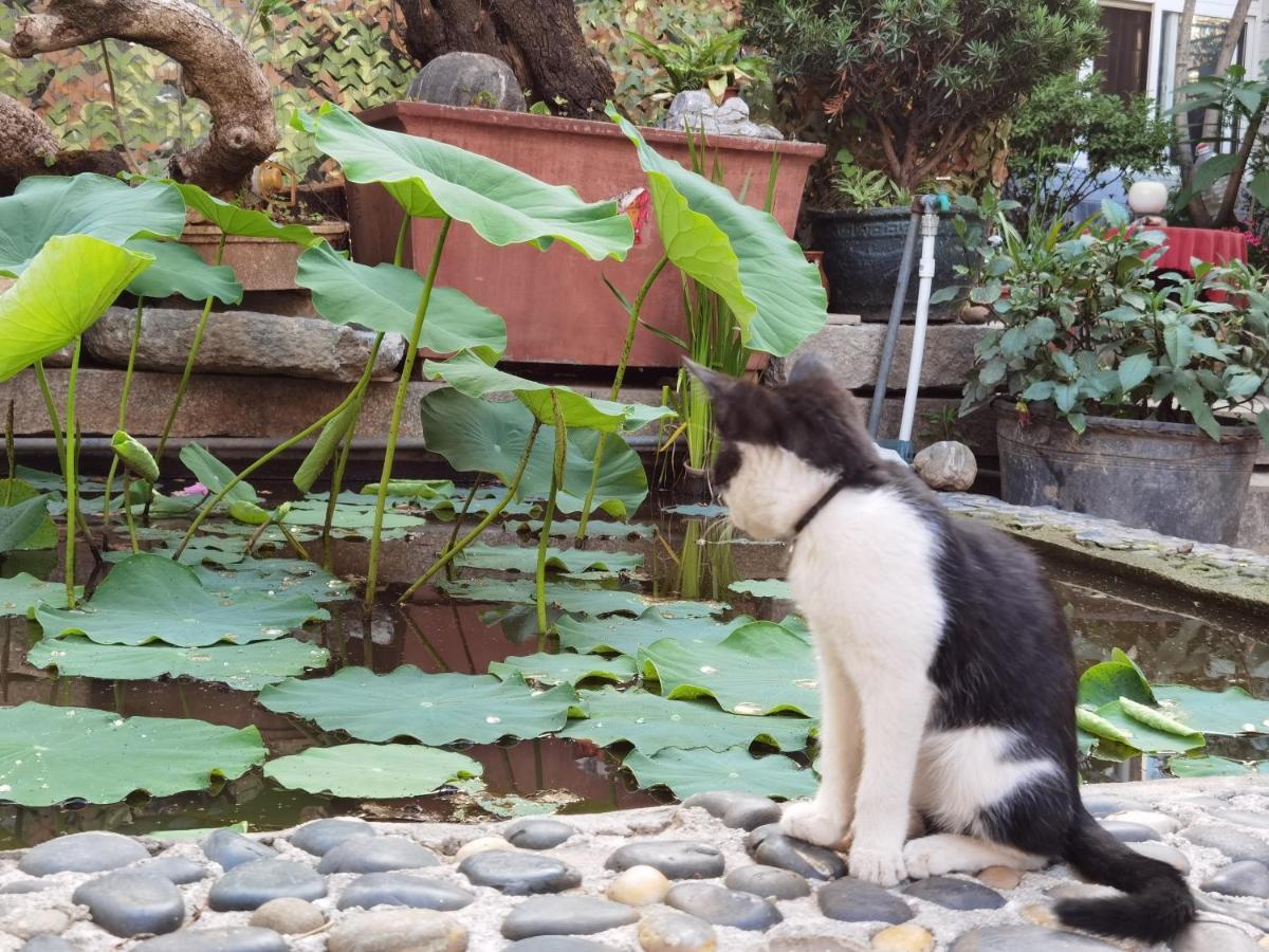The Lily Pad Inn Νταλί Εξωτερικό φωτογραφία