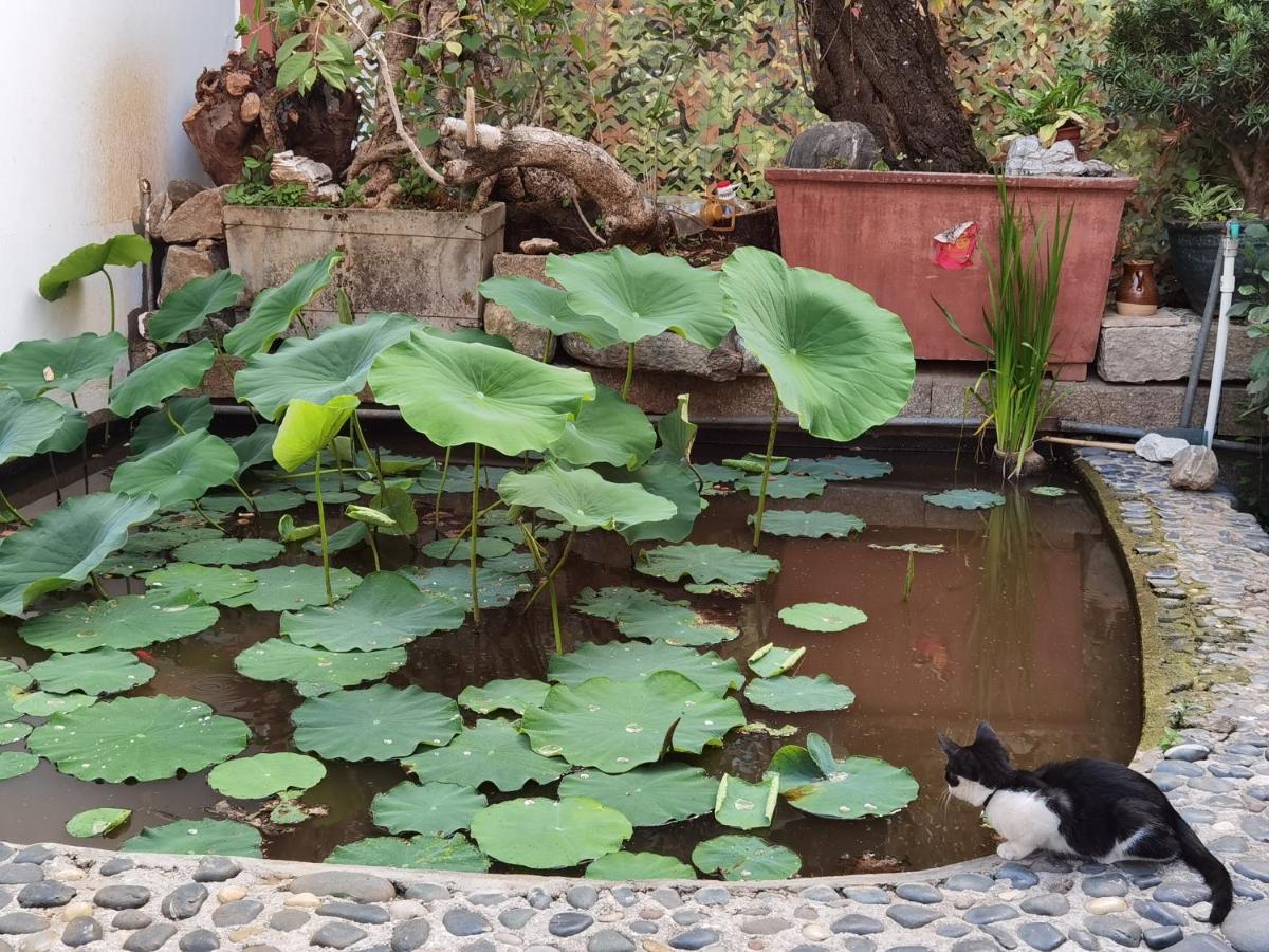 The Lily Pad Inn Νταλί Εξωτερικό φωτογραφία