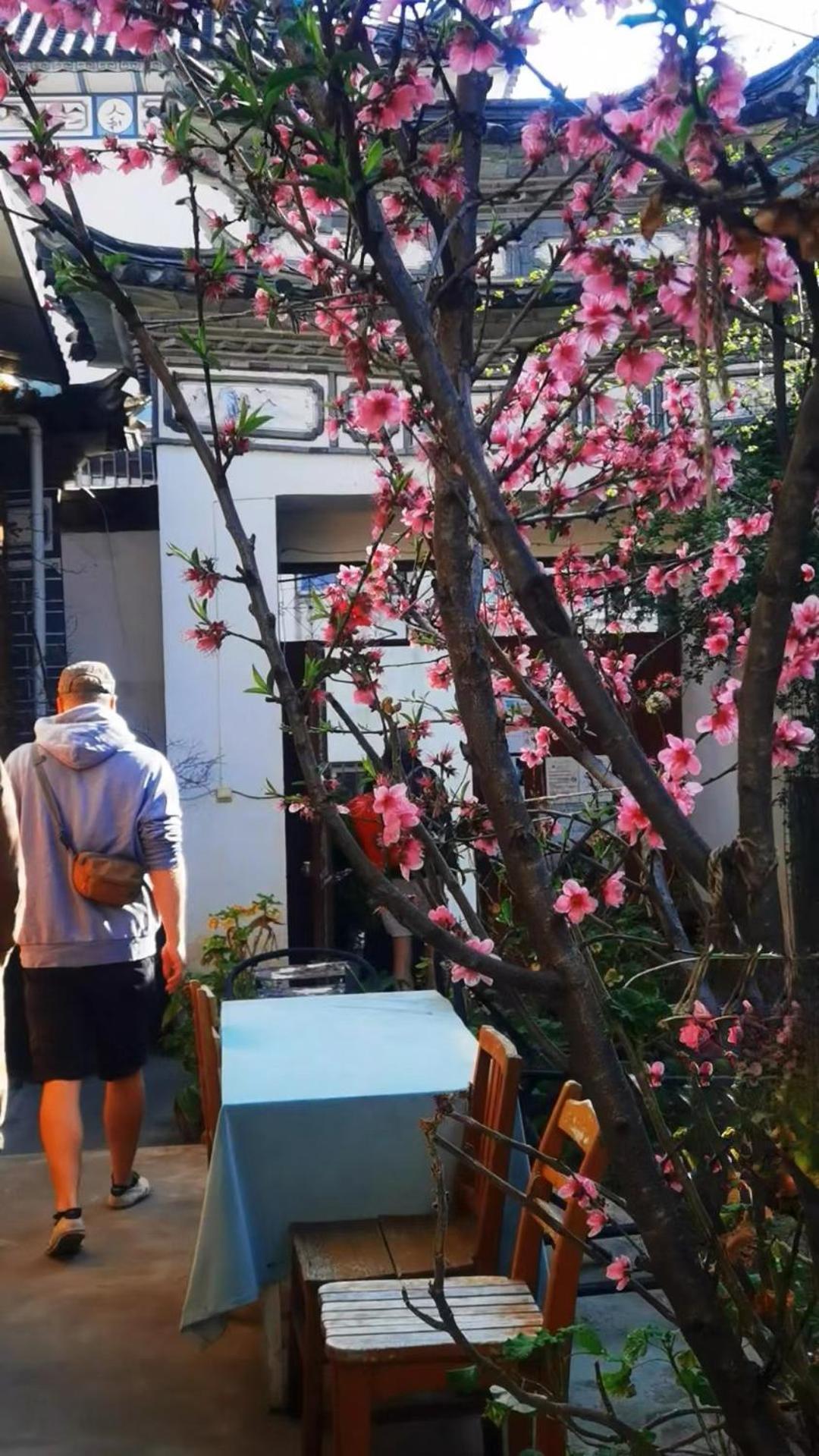 The Lily Pad Inn Νταλί Εξωτερικό φωτογραφία
