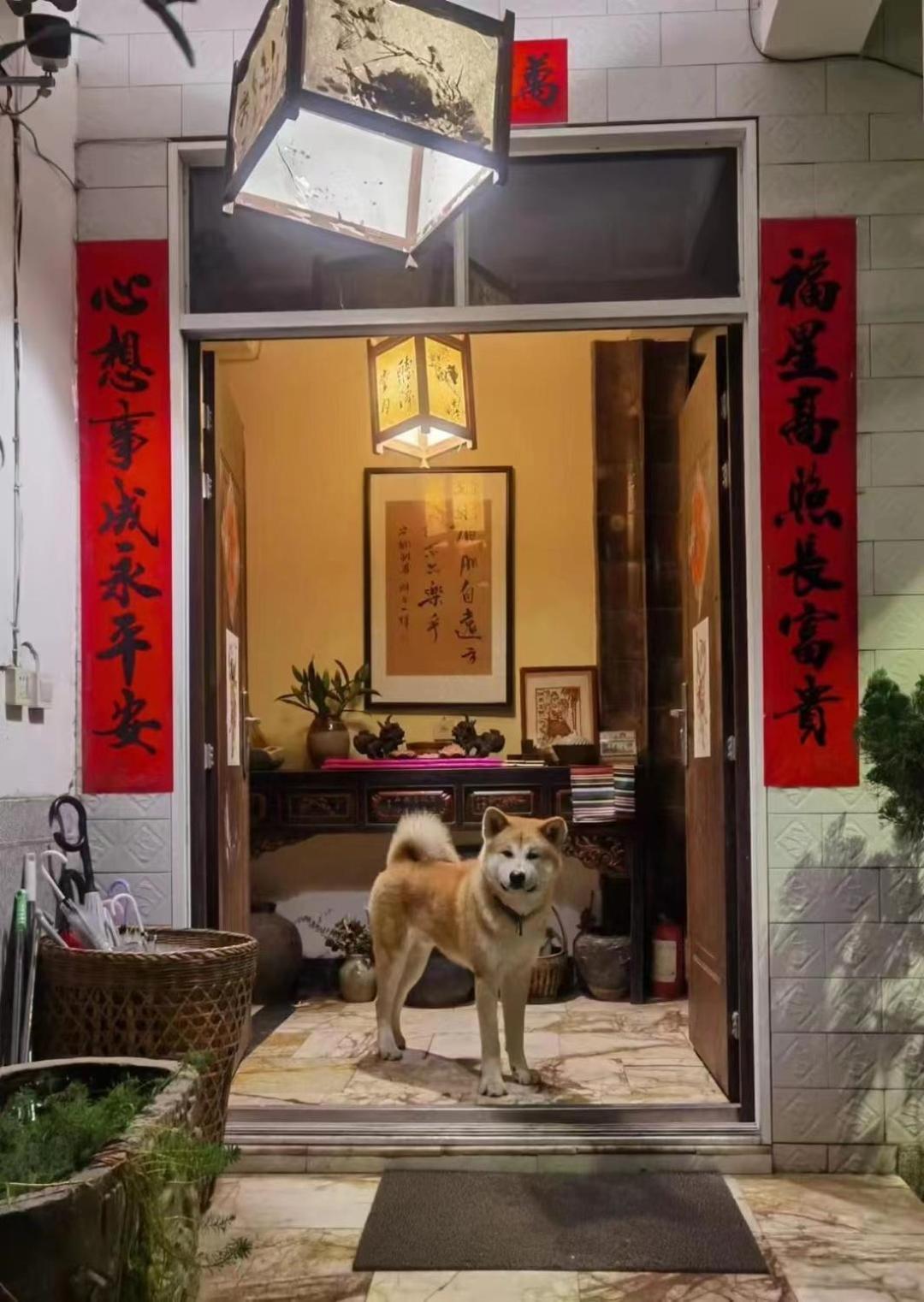 The Lily Pad Inn Νταλί Εξωτερικό φωτογραφία