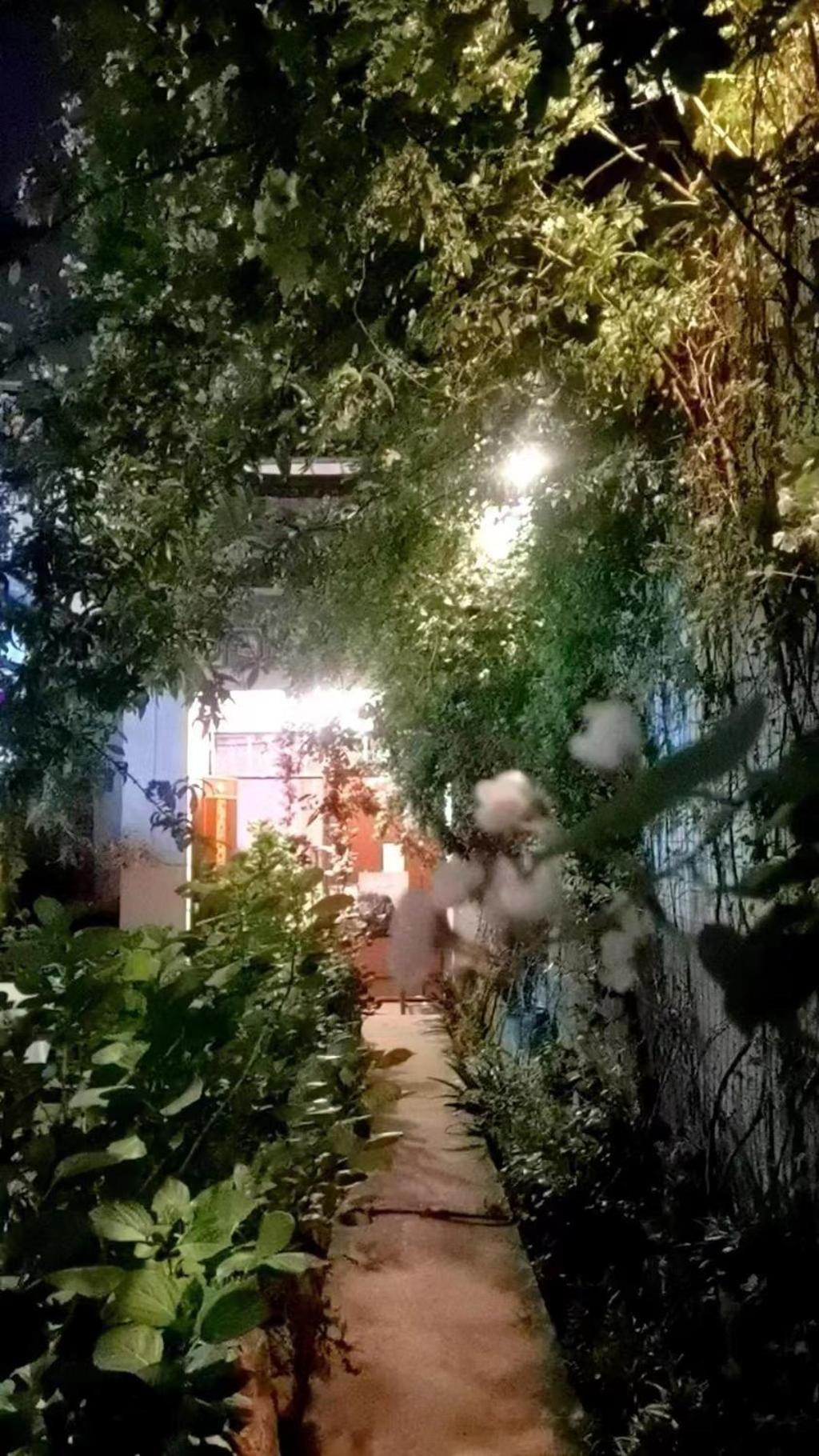 The Lily Pad Inn Νταλί Εξωτερικό φωτογραφία