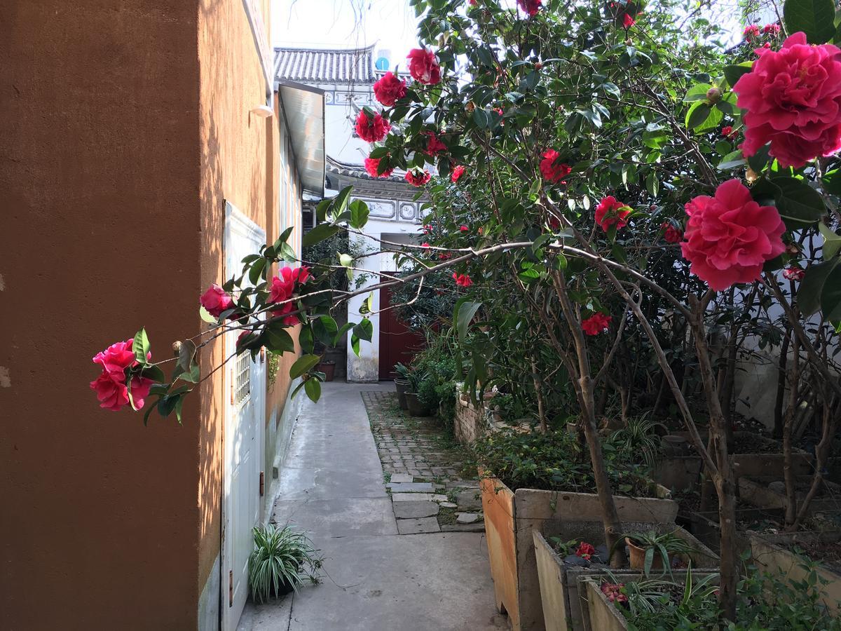 The Lily Pad Inn Νταλί Εξωτερικό φωτογραφία