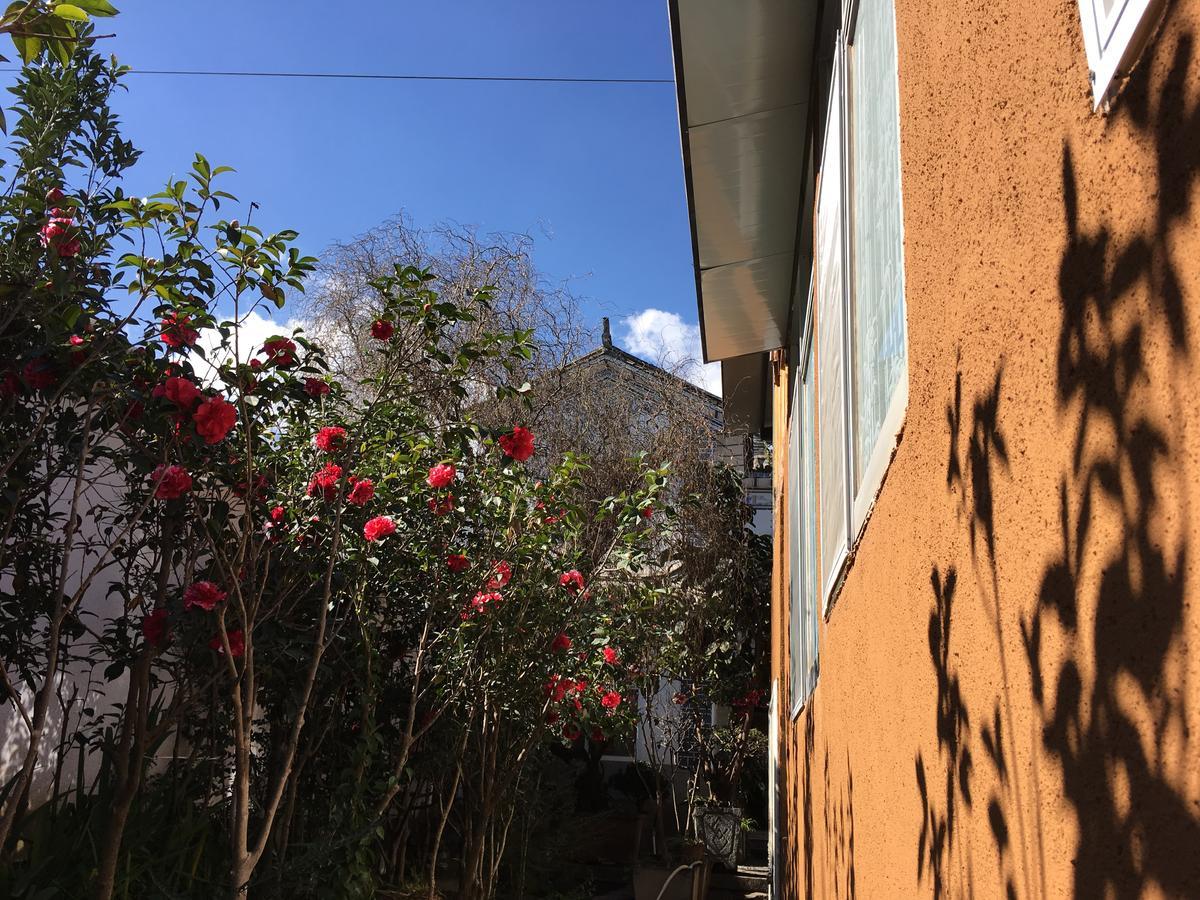 The Lily Pad Inn Νταλί Εξωτερικό φωτογραφία